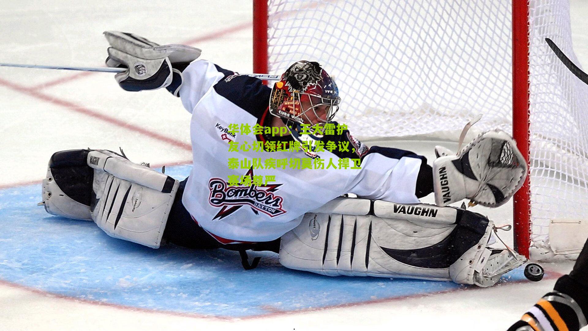 王大雷护友心切领红牌引发争议，泰山队疾呼切莫伤人捍卫赛场尊严