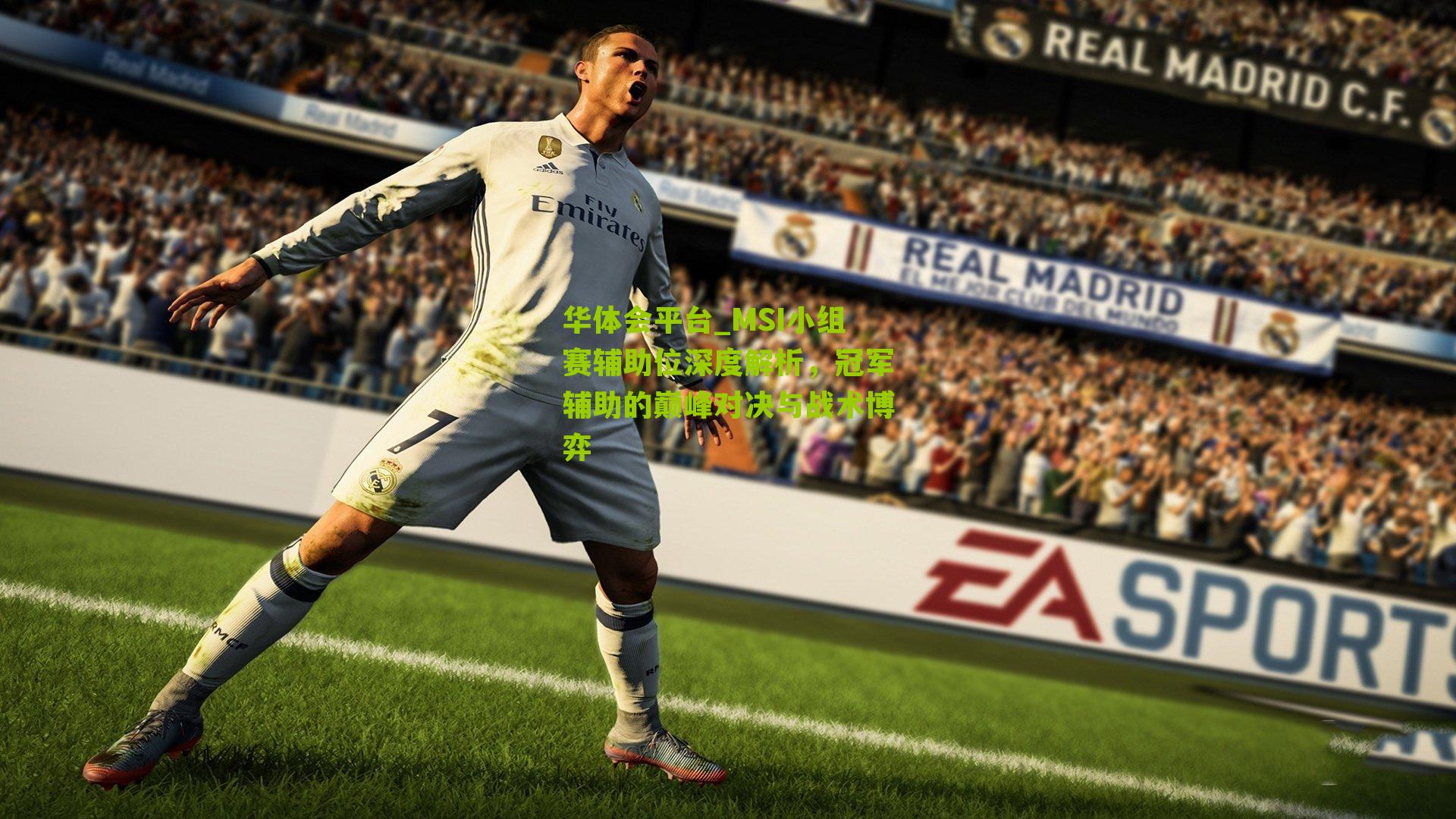 MSI小组赛辅助位深度解析,冠军辅助的巅峰对决与战术博弈